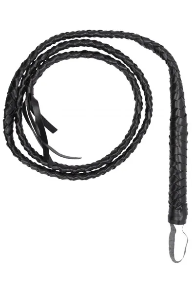 Bild 1 för Ouch!: Twisted Whip