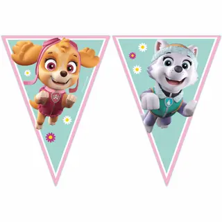 Produktfoto för Paw Patrol Skye krans