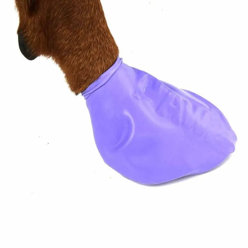 Bild 2 för Pawz Rubber Dog Boots - 12-pack	L, Lila, L, Lila