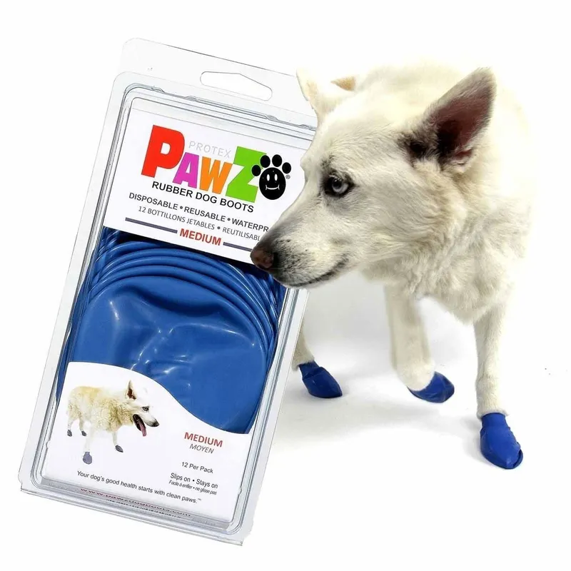 Bild 1 för Pawz Rubber Dog Boots - 12-pack	M, Blå, Blå, M