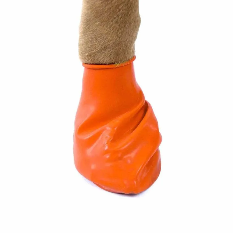 Bild 2 för Pawz Rubber Dog Boots - 12-pack	XS, Orange, Orange, XS