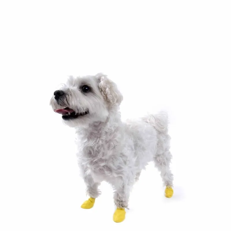 Bild 2 för Pawz Rubber Dog Boots - 12-pack	XXS, Gul, Gul, XXS