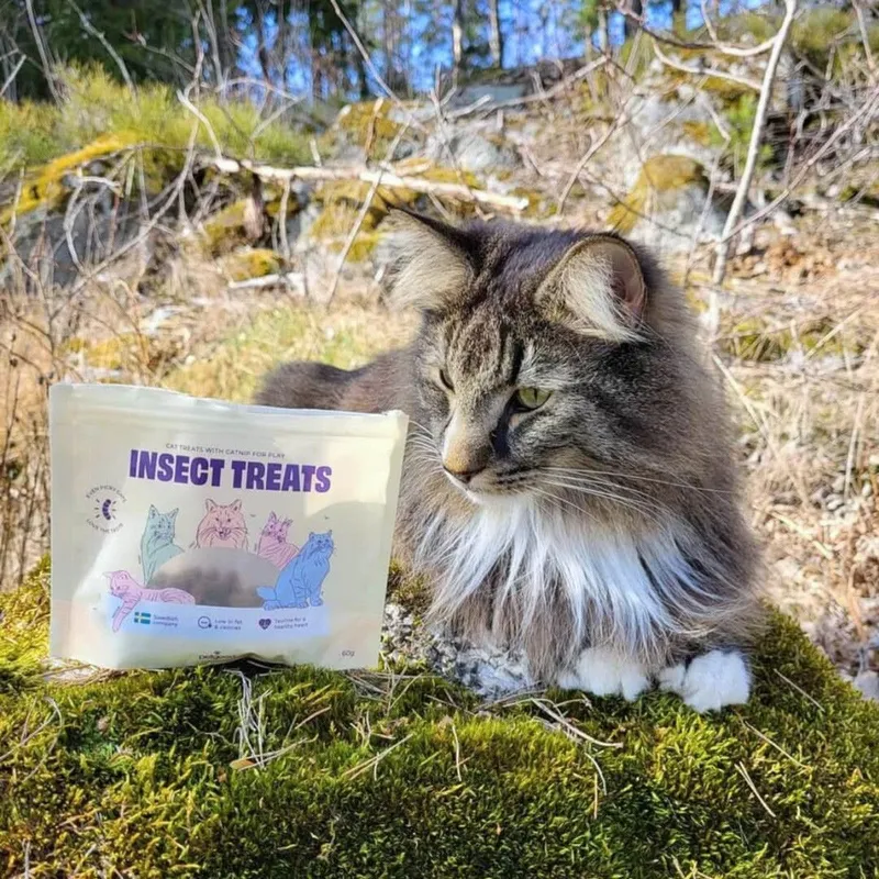 Bild 2 för Petgood 2 x Kattgodis Insekter Taurine