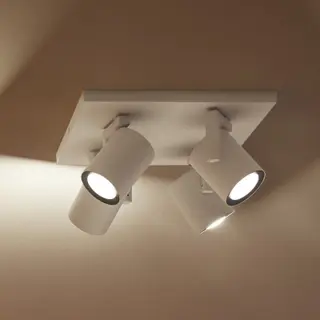 Produktfoto för Philips Hue Argenta Plate/Spiral 4x5.7W - White