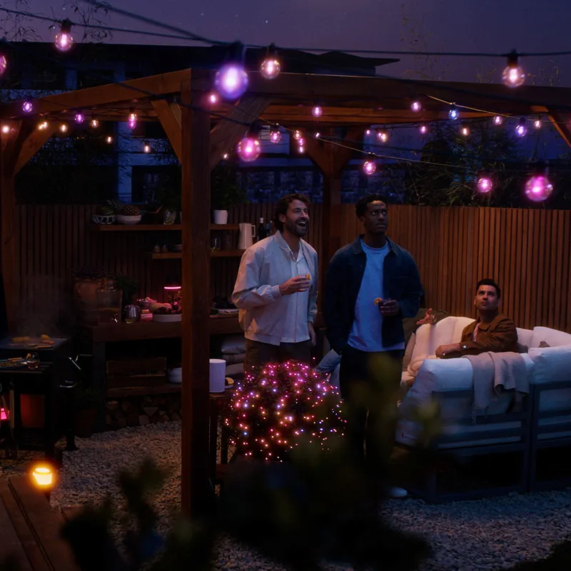 Bild 2 för Philips Hue Festavia Globe utomhusljusslingor, 14m