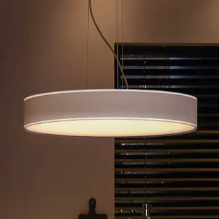 Produktfoto för Philips Hue - Hue Enrave Taklampa White Amb. White Philips Hue