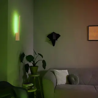 Produktfoto för Philips Hue - Liane Hue Vägglampa White Bluetooth White/Color Amb. Philips Hue