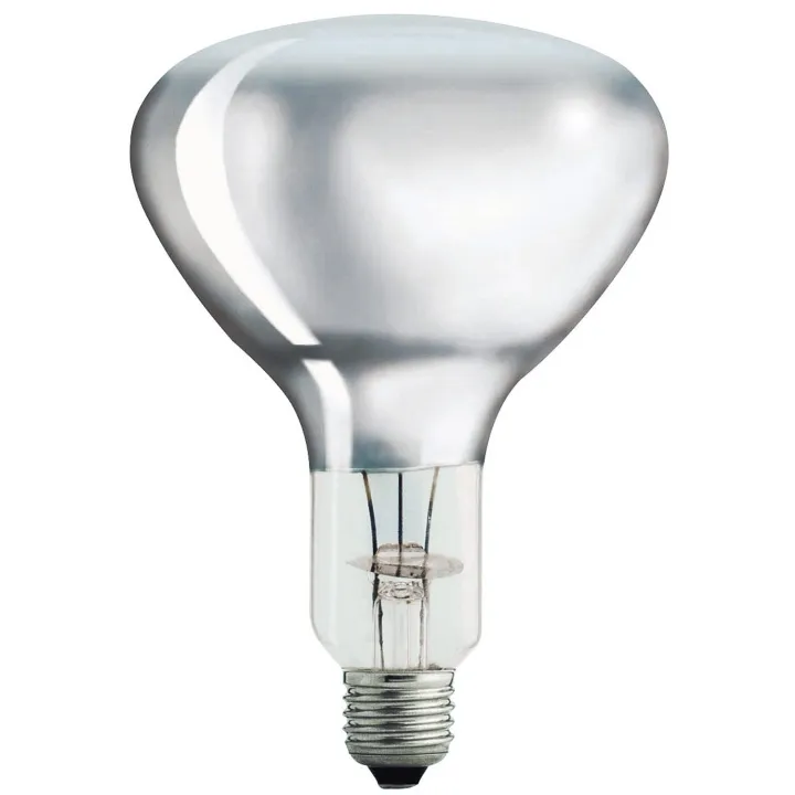 Alternativ bild 0 för Philips Infraröd glödlampa Heat lamp BR125 250W Dimmable E27