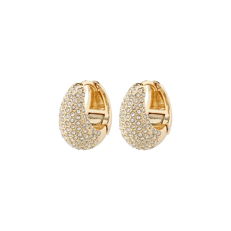 Alternativ bild 0 för Pilgrim Focus Earrings 112432003 - Dam - Brass