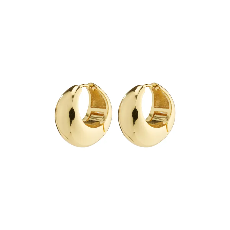 Alternativ bild 0 för Pilgrim Ionna Earrings 692432013 - Dam - Gold