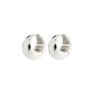 Produktfoto för Pilgrim Ionna Earrings 692436013 - Dam - Brass