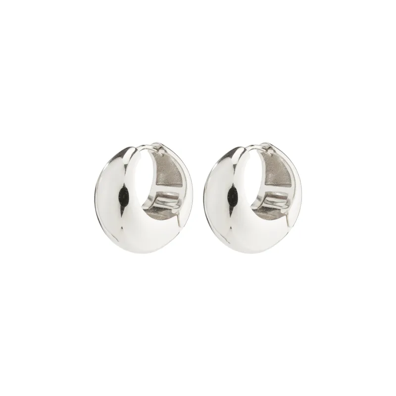 Alternativ bild 0 för Pilgrim Ionna Earrings 692436013 - Dam - Brass