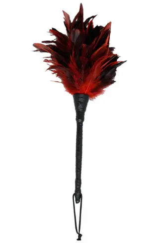 Produktfoto för Pipedream: Frisky Feather Duster, röd