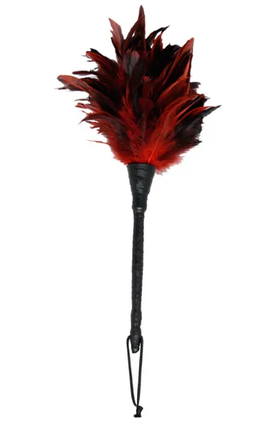 Bild 1 för Pipedream: Frisky Feather Duster, röd