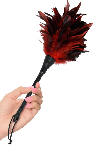Bild 2 för Pipedream: Frisky Feather Duster, röd