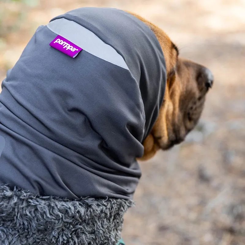 Bild 1 för Pomppa Huppu Halsduk till Hund Grå (L)