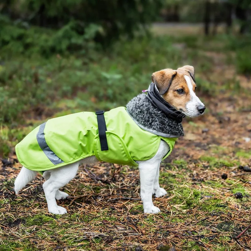 Bild 2 för Pomppa Huppu Halsduk till Hund Grå (XL)