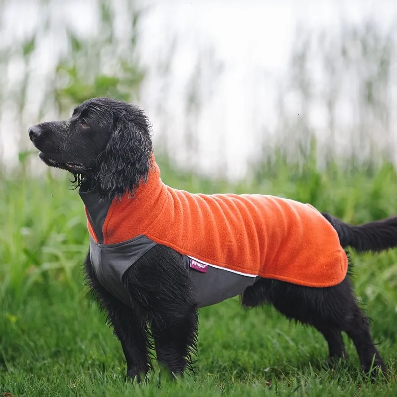 Bild 1 för Pomppa Jumppa Fleecetäcke Hund Orange (80)