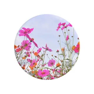 Produktfoto för PopSockets PopGrip Standard Fuschia Blooms