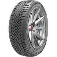 Produktfoto för Premitra Snow WP6 SUV