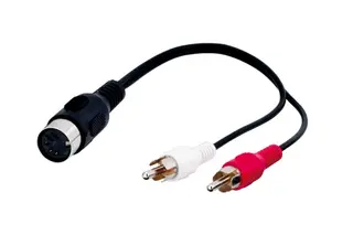 Produktfoto för Pro DIN 5 pins F - 2xRCA M - 0.2m