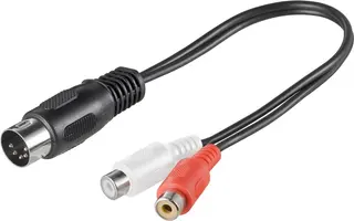 Produktfoto för Pro DIN 5 pins M - 2xRCA F - 0.2m