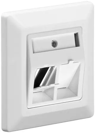Produktfoto för Pro Faceplate to mount keystone jacks