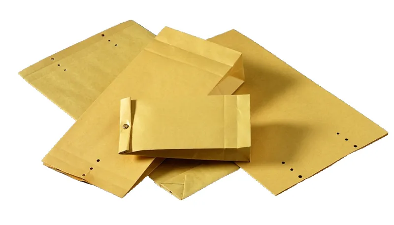Alternativ bild 0 för Propac Provpåse D19 160x340mm