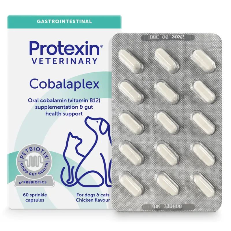 Bild 1 för Protexin Veterinary Cobalaplex för Hundar och Katter 60 kapslar