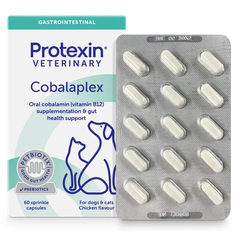 Bild 2 för Protexin Veterinary Cobalaplex för Hundar och Katter 60 kapslar