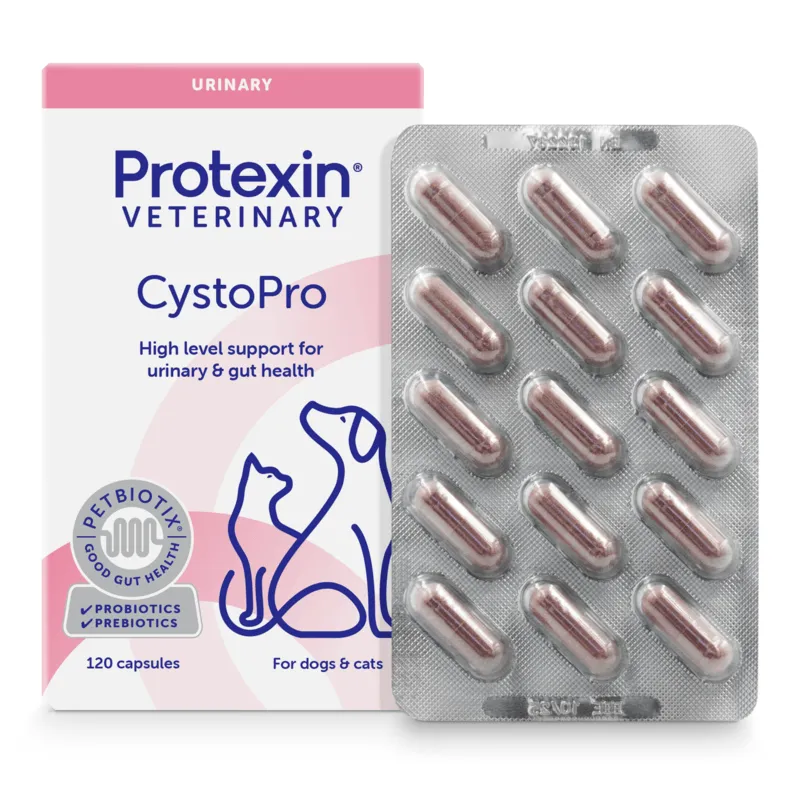 Bild 1 för Protexin Veterinary Cystopro för Hundar 120 kapslar