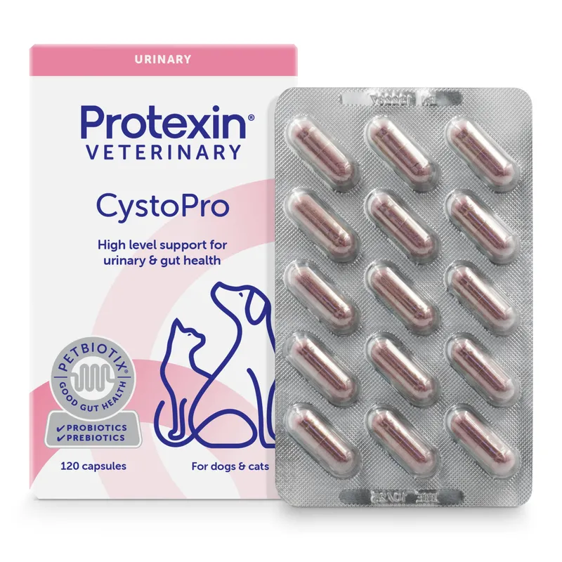 Bild 2 för Protexin Veterinary Cystopro för Hundar 120 kapslar