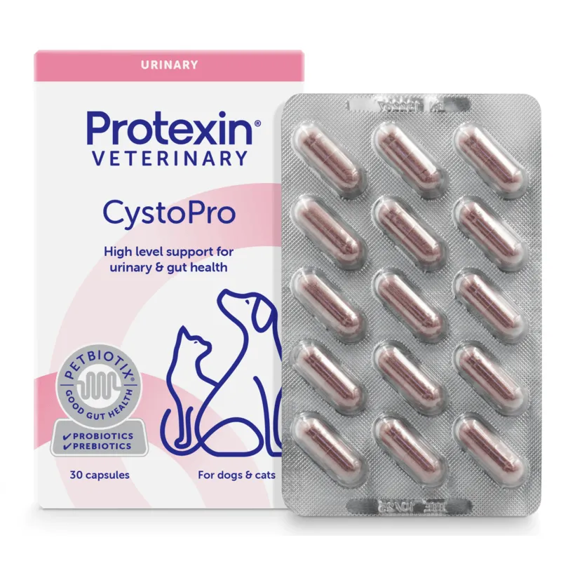 Bild 1 för Protexin Veterinary Cystopro för Hundar 30 kapslar