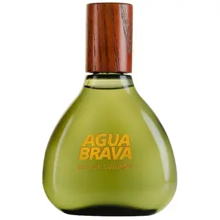 Produktfoto för Puig Agua Brava Edc 100ml