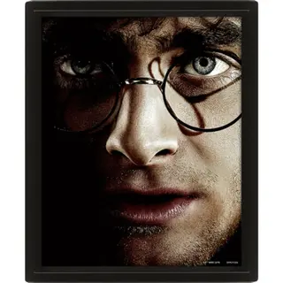 Produktfoto för Pyramid - Wall Art - Harry Potter vs Voldemort 3D Framed 20x - Bild