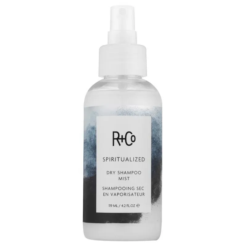 Alternativ bild 0 för R+Co SPIRITUALIZED Dry Shampoo Mist