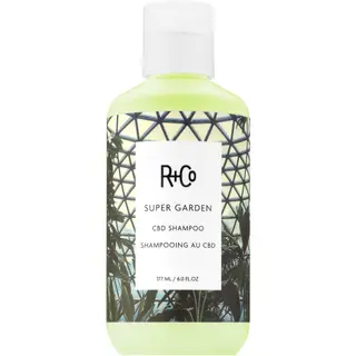 Produktfoto för R+Co Super Garden CBD Shampoo 177 ml