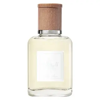 Produktfoto för Ralph Lauren Polo Earth Antilles Vetiver 40 ml