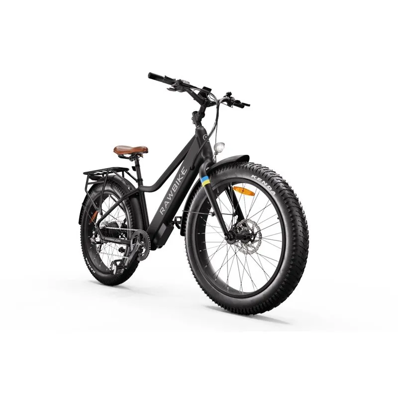Bild 2 för RAWBIKE Urban Matte Black