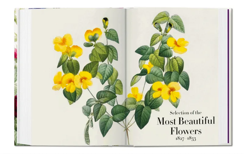 Bild 2 för Redouté. Book of Flowers 40 Series