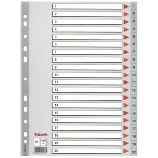 Produktfoto för Register Esselte PP A4 1-20 grå