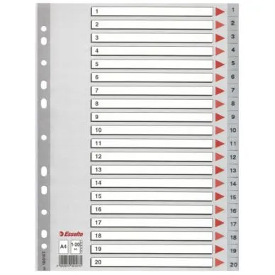 Alternativ bild 0 för Register Esselte PP A4 1-20 grå