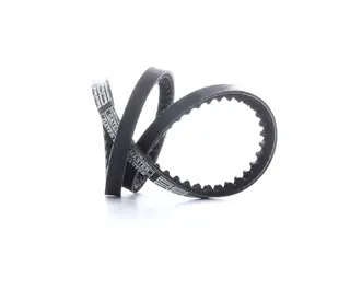 Produktfoto för GATES Kilremmar BMW,FORD,RENAULT 6209MC 105000210300,60808685,60810821 Kilrem 7703305,7776571,0855676000,7700565018,1727136,32421727136,32421727180