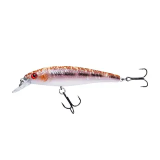 Produktfoto för RenzStein Beastly Minnow Smolt 9,5cm - 13g