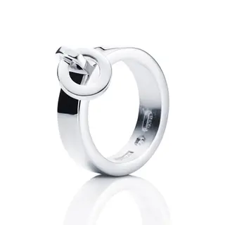 Produktfoto för Ring Around Ring Silver 15.00 mm