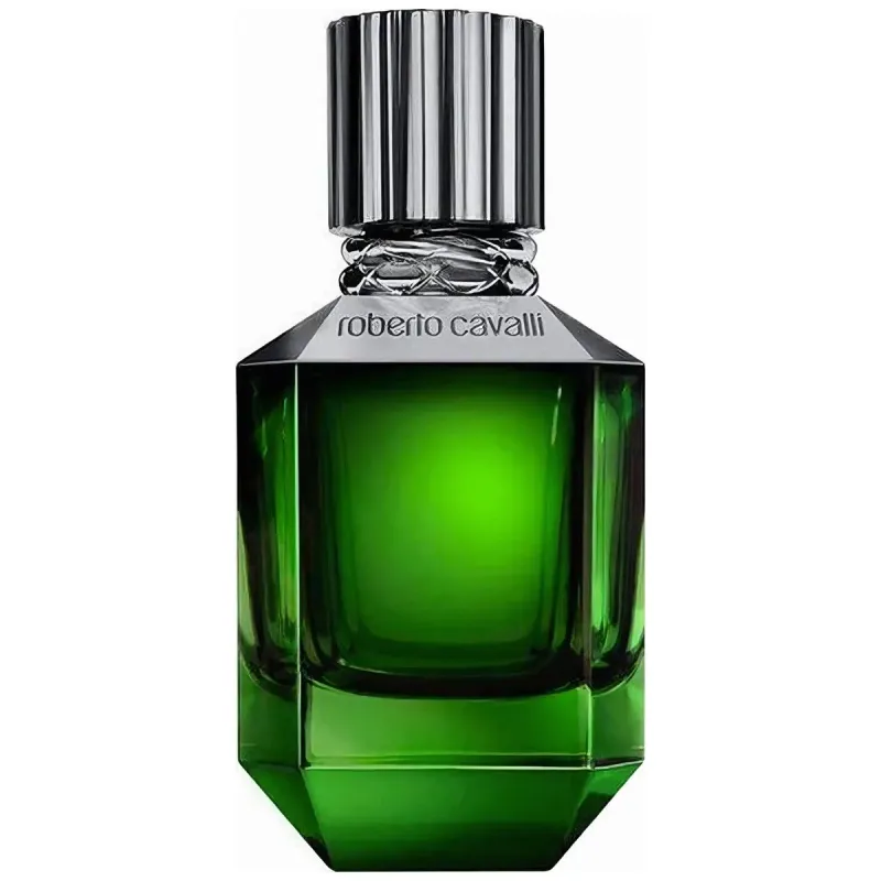 Alternativ bild 0 för Roberto Cavalli Paradiso Found for Men EDT 75 ml