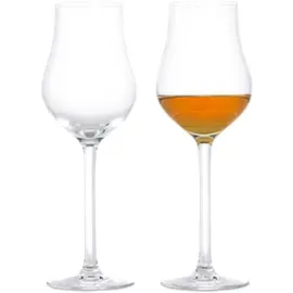 Produktfoto för Rosendahl - Premium Snapsglas 23 cl 2-pack