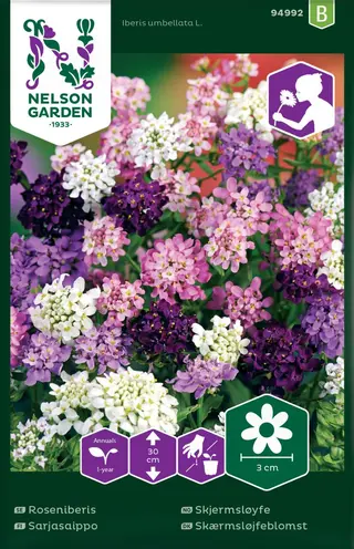 Produktfoto för Roseniberis, mix