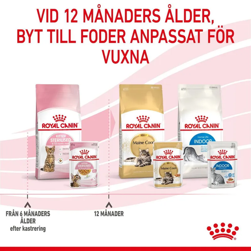Bild 2 för Royal Canin 9003579007167, Kattunge, 85 g