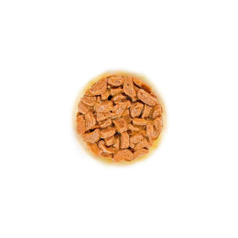 Bild 2 för Royal Canin Ageing 11+ bitar i sås våtfoder för katt 12x85 g